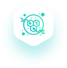 Hexagonal Icon